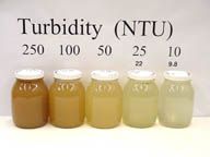 Turbidity Water Treatment